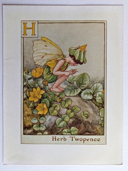 Herb Twopence Fairies Print