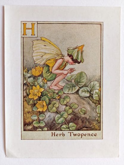Herb Twopence Fairy Print