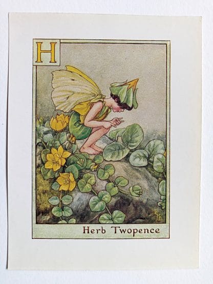Herb Twopence Flower Fairy Print