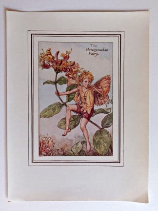 Honeysuckle Fairies Print