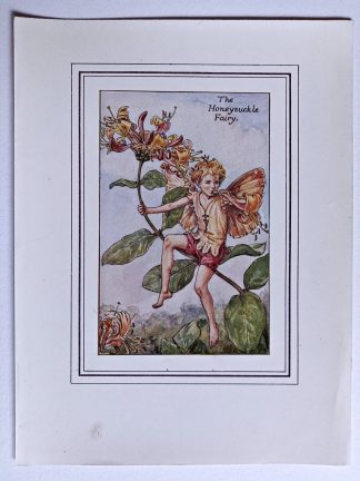 Honeysuckle Fairy Print