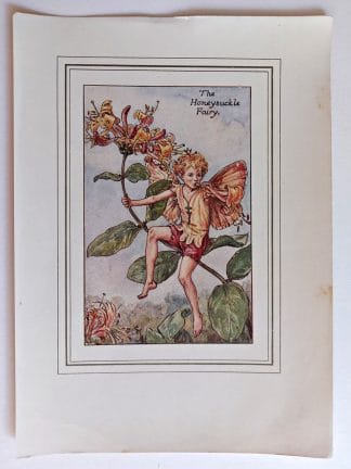 Honeysuckle Vintage Fairy Print
