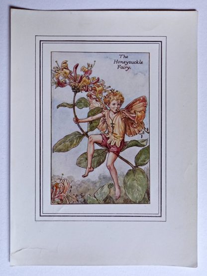 Honeysuckle Vintage Flower Fairy Print
