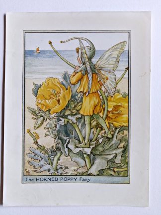 Horned Poppy Flower Fairy Print