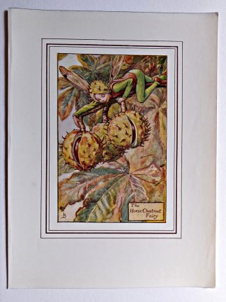 Horse Chestnut Fairy Print