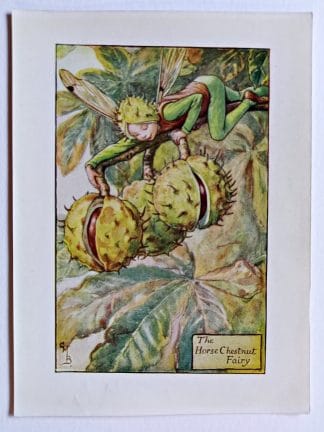 Horse Chestnut Flower Fairy Print