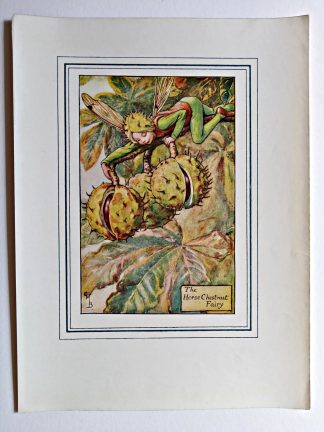 Horse Chestnut Vintage Fairy Print