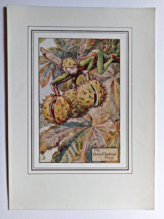 Horse Chestnut Vintage Flower Fairy Print