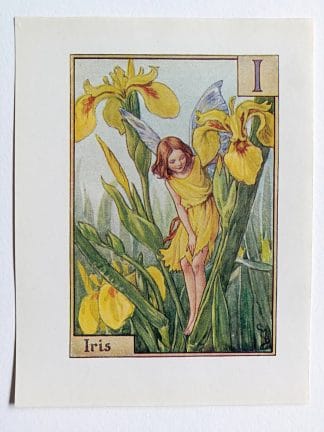 Iris Flower Fairy Print