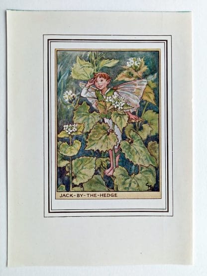 Jack by the Hedge Fairies Print