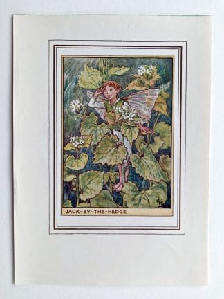 Jack by the Hedge Fairy Print