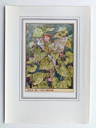 Jack by the Hedge Vintage Fairy Print