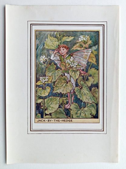 Jack by the Hedge Vintage Flower Fairy Print