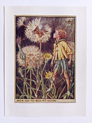 Jack go to Bed at Noon Flower Fairy Print