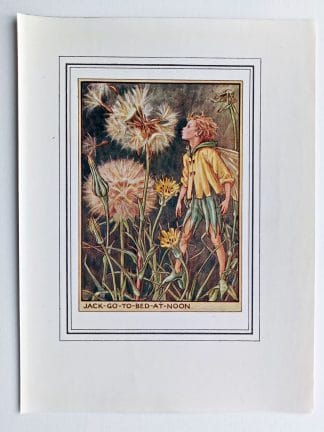 Jack go to Bed at Noon Vintage Flower Fairy Print