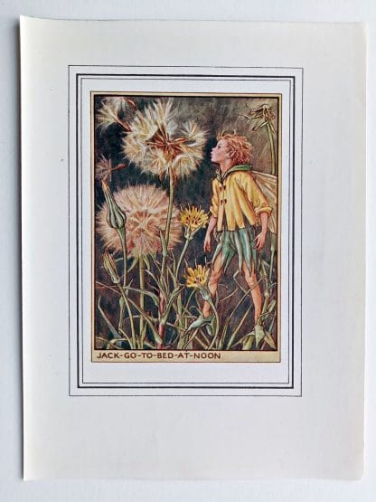 Jack go to Bed at Noon Vintage Flower Fairy Print