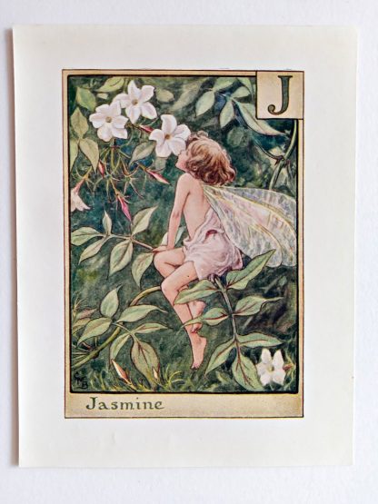 Jasmine Fairy Print