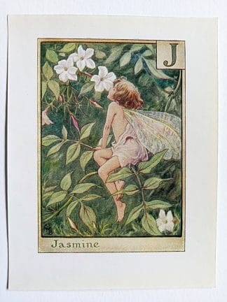 Jasmine Flower Fairy Print