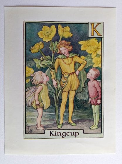 Kingcup Fairies Print