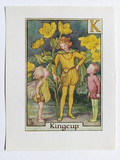 Kingcup Flower Fairy Print