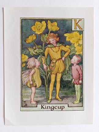 Kingcup Vintage Flower Fairy Print