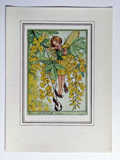 Laburnum Fairy Print