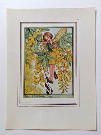 Laburnum Vintage Fairy Print
