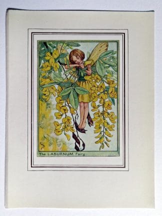 Laburnum Vintage Flower Fairy Print