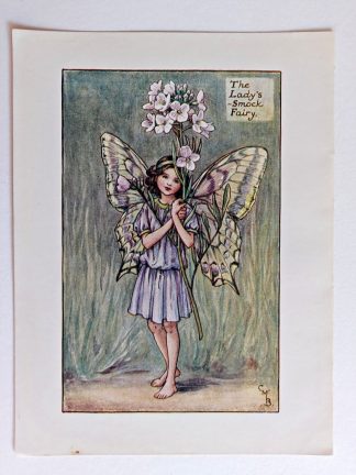 Ladys Smock Fairies Print