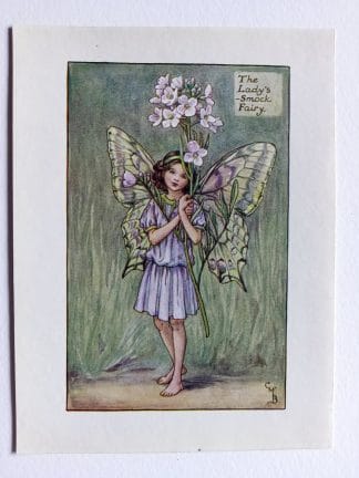 Ladys Smock Flower Fairy Print