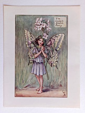 Ladys Smock Vintage Fairy Print