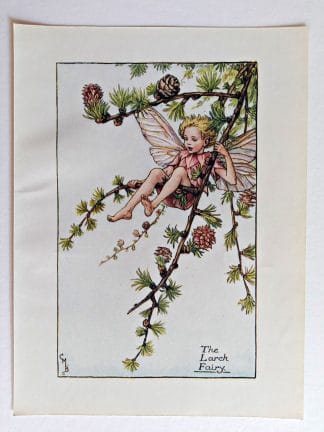 Larch Fairies Print