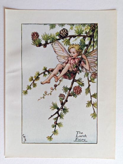 Larch Fairies Print