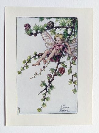 Larch Flower Fairy Print