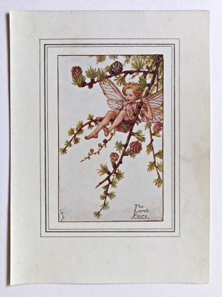 Larch Vintage Flower Fairy Print