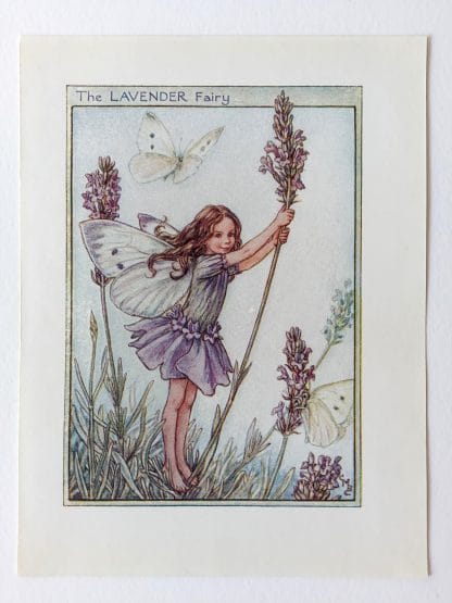 Lavender Flower Fairy Print