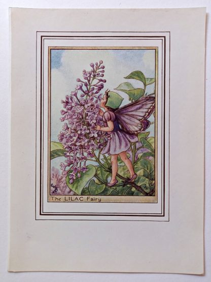 Lilac Flower Fairy Print