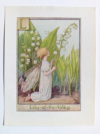Lily of the Valley Flower Fairy Print