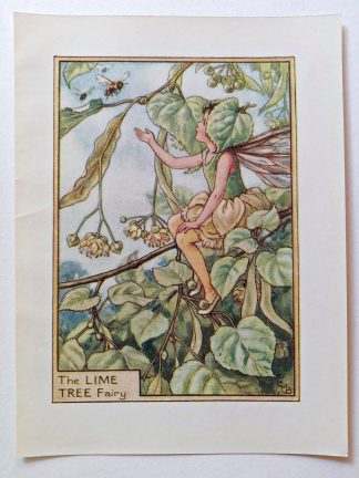 Lime Tree Fairies Print