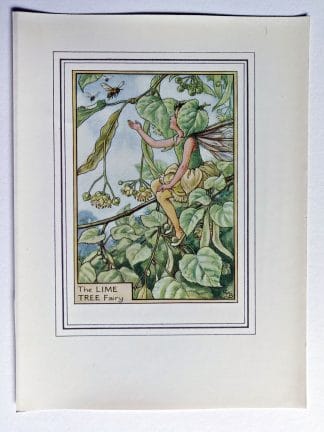 Lime Tree Fairy Print