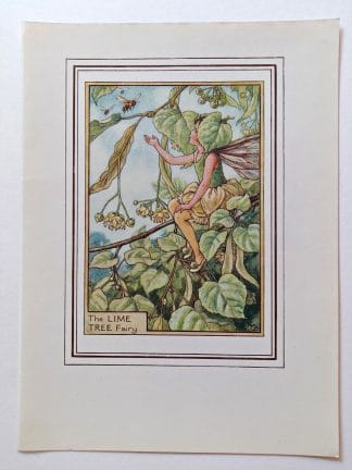 Lime Tree Vintage Fairy Print