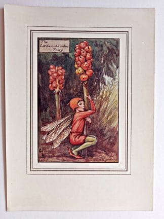 Lords and Ladies Autumn Fairy Print
