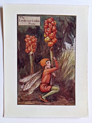 Lords and Ladies Autumn Flower Fairy Print