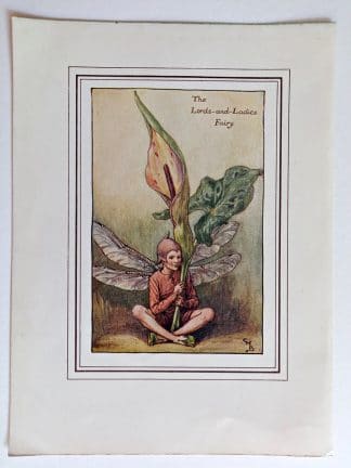 Lords and Ladies Spring Fairies Print