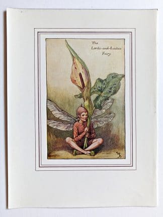 Lords and Ladies Spring Fairy Print