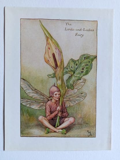 Lords and Ladies Spring Flower Fairy Print