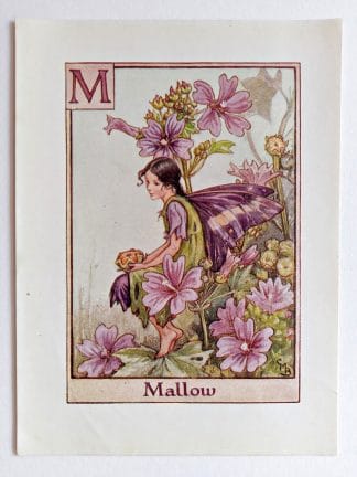 Mallow Fairy Print