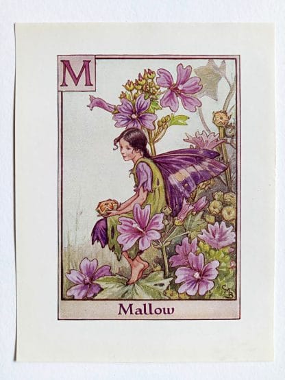 Mallow Flower Fairy Print