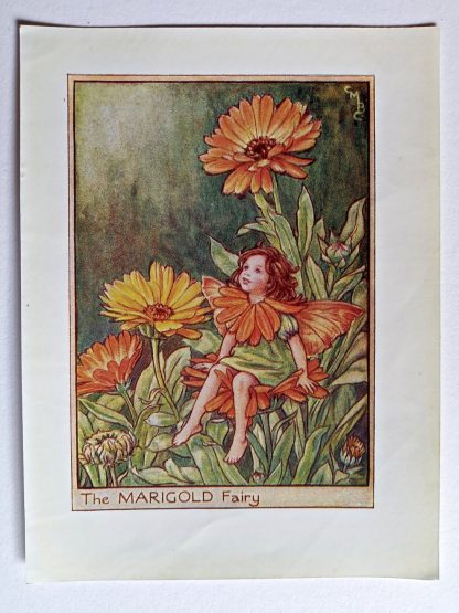 Marigold Fairies Print