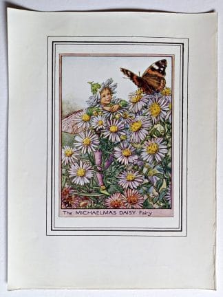 Michaelmas Daisy Fairies Print